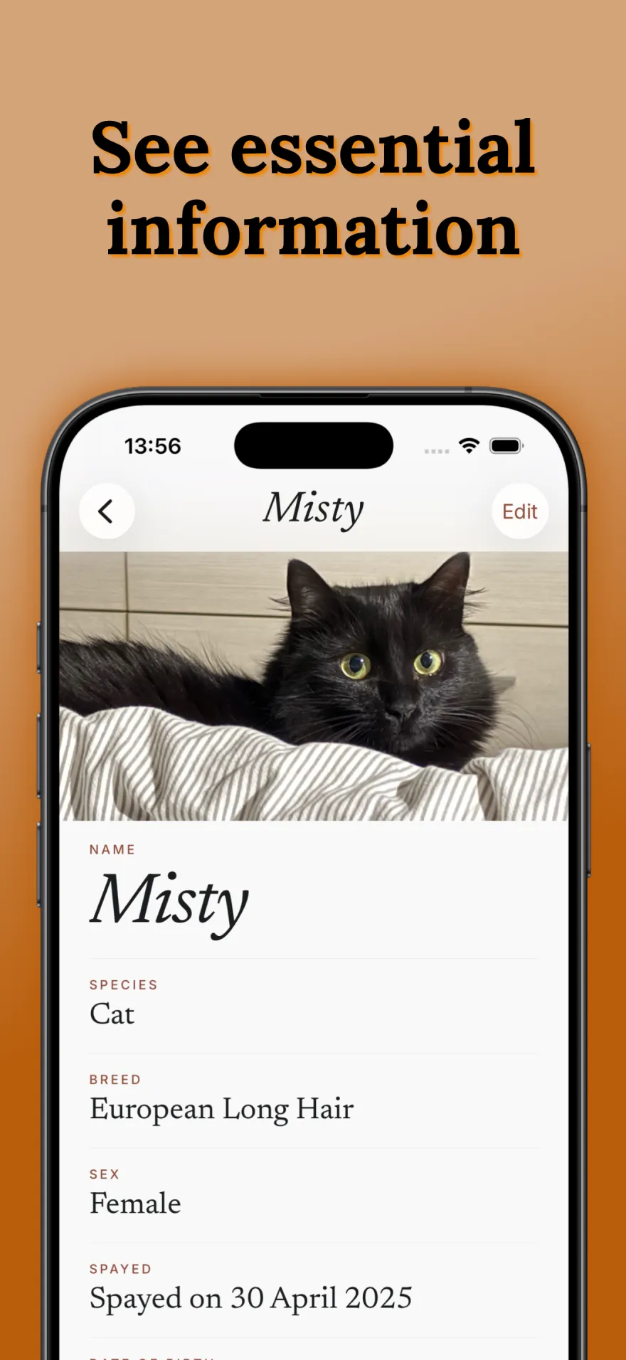 Petling – see essential pet information